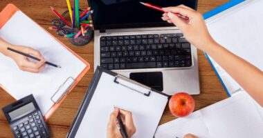 Estudos concurso público